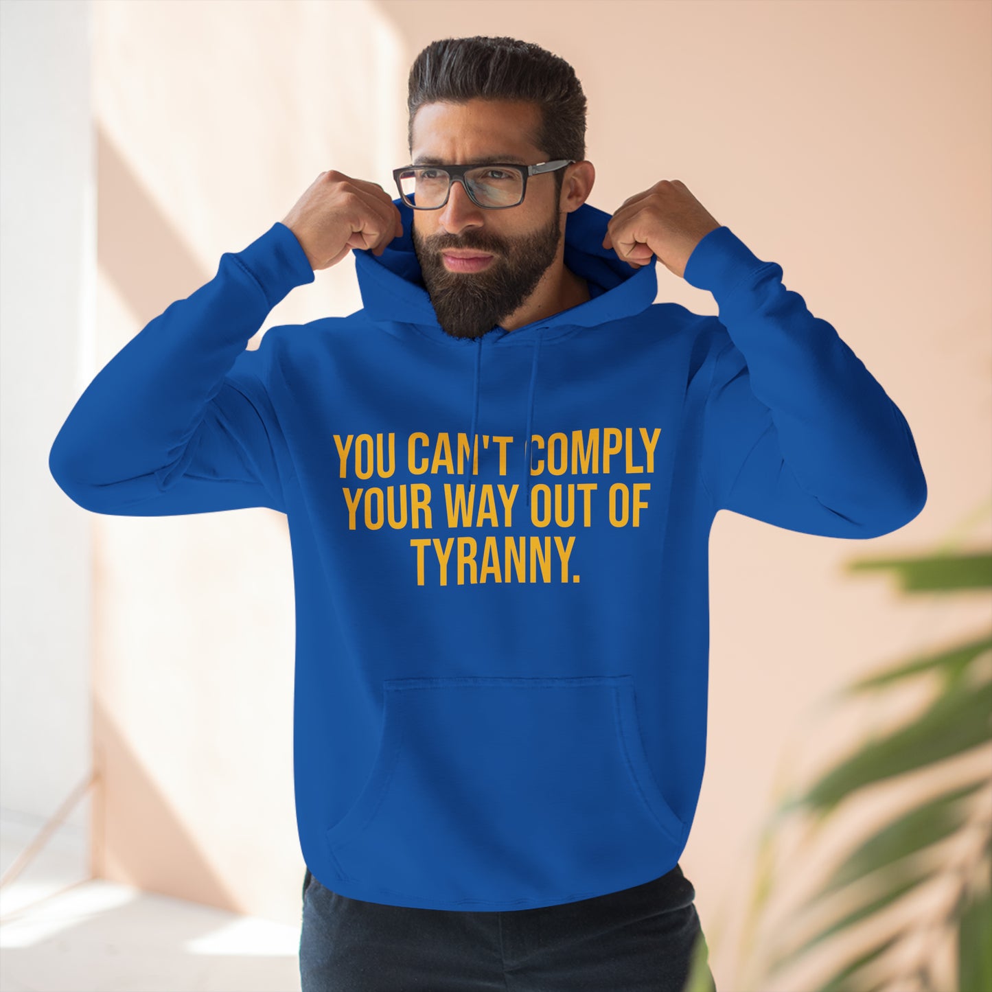 You Can't Comply Your Way Out Of Tyranny Premium Pullover Hoodie