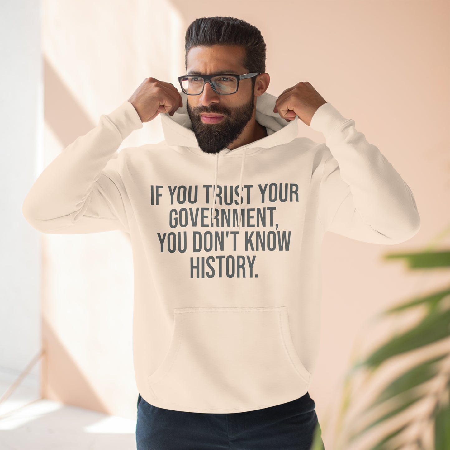 If You Trust Your Government, You Don't Know History Premium Pullover Hoodie