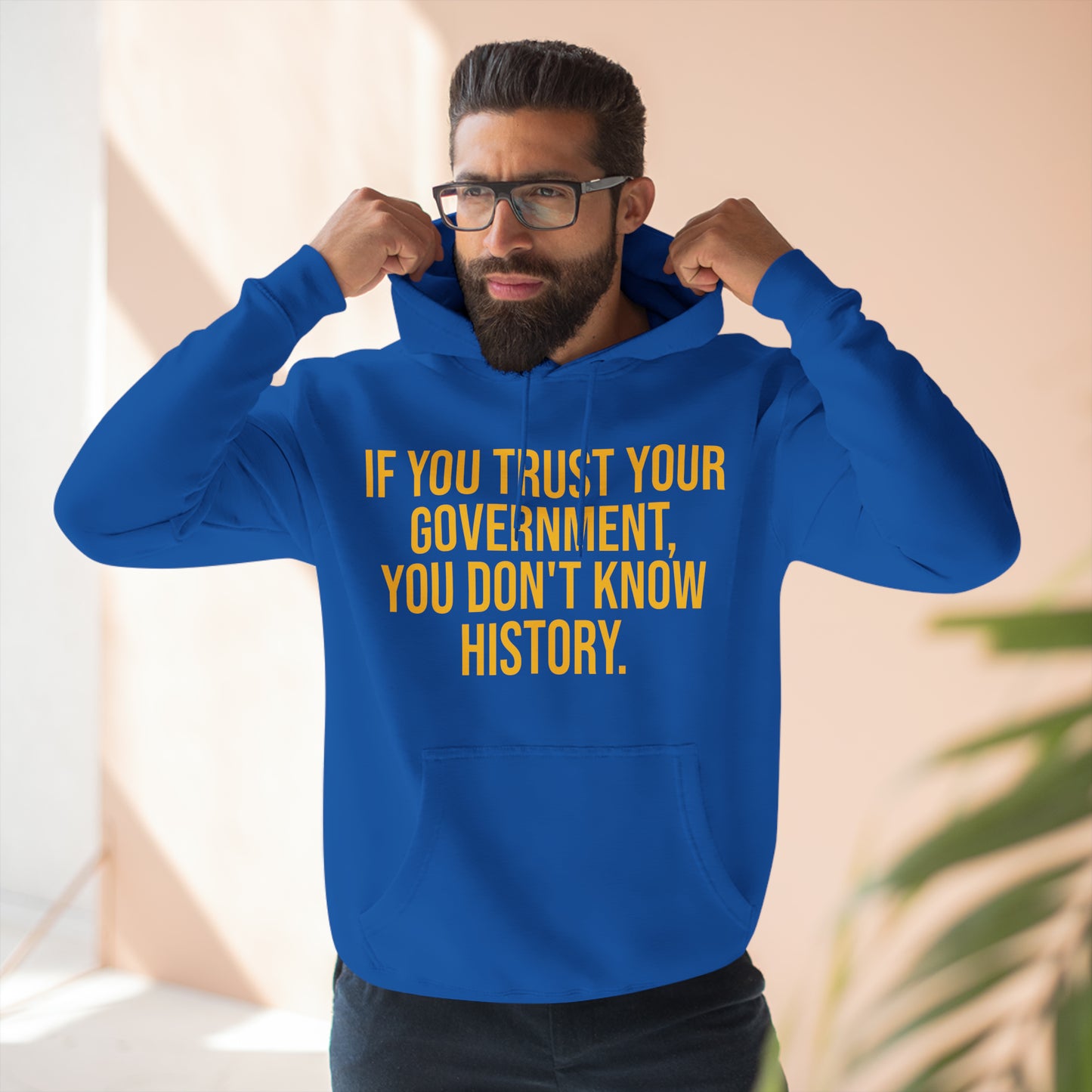 If You Trust Your Government, You Don't Know History Premium Pullover Hoodie